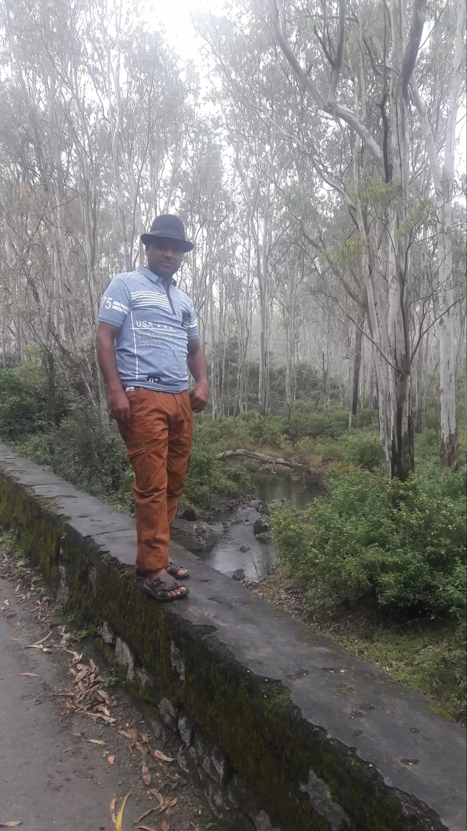 Photo of माउंट आबू [ राजस्थान का एक मात्र हिल स्टेशन ] by नवल किशौर चौला