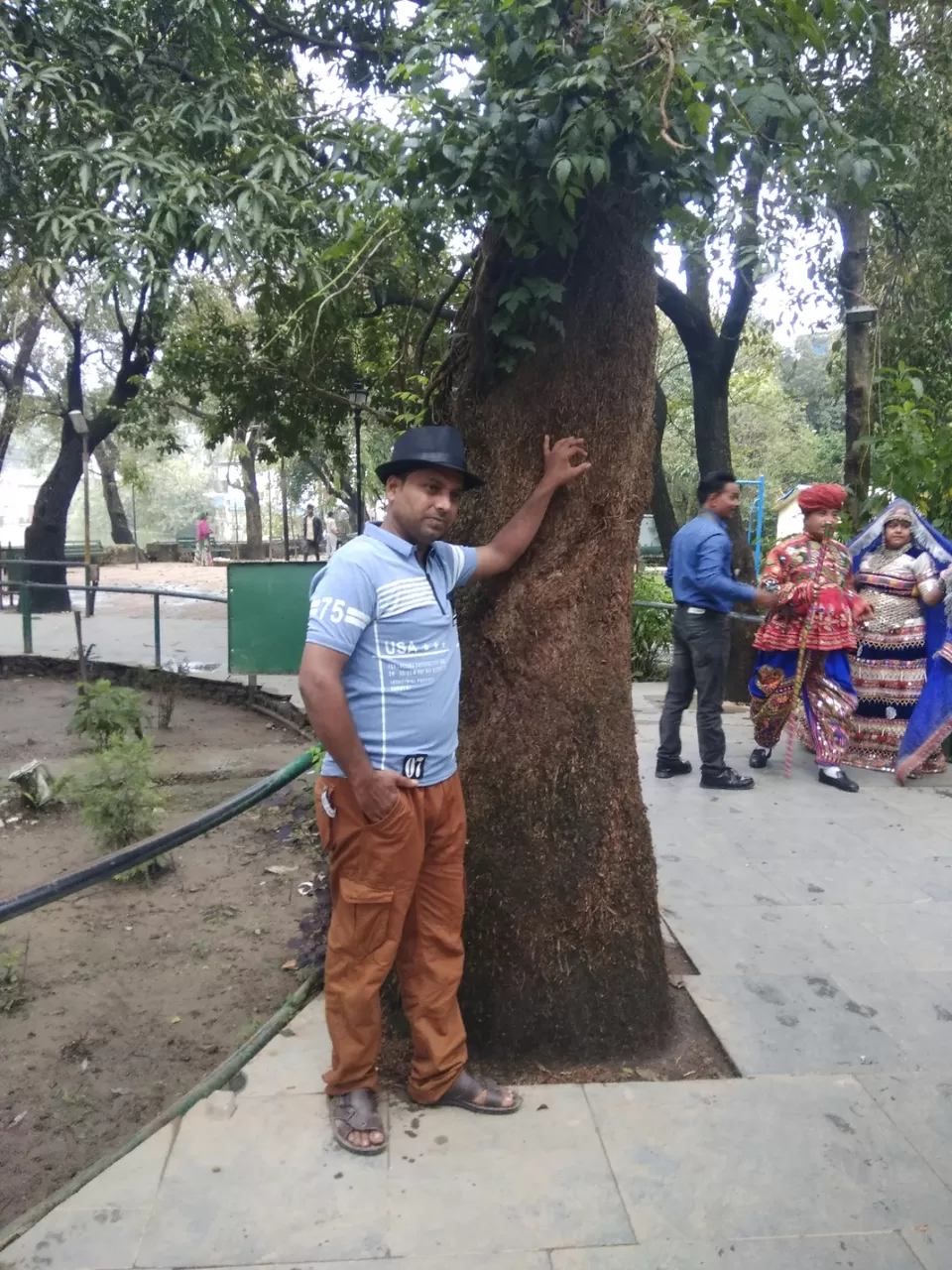 Photo of माउंट आबू [ राजस्थान का एक मात्र हिल स्टेशन ] by नवल किशौर चौला