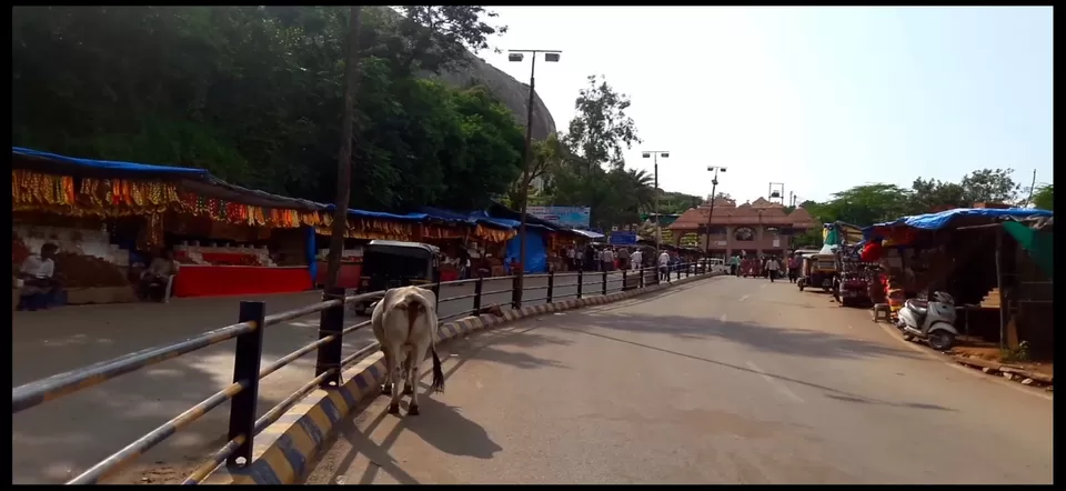 Photo of अम्बा जी मंदिर [ गुजरात ] by नवल किशौर चौला