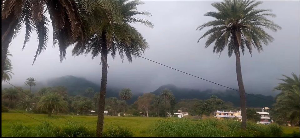 Photo of माउंट आबू [ राजस्थान का एक मात्र हिल स्टेशन ] by नवल किशौर चौला