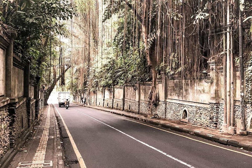 Photo of THE 11 BEST THINGS TO DO IN UBUD 1/6 by Golden Undertones