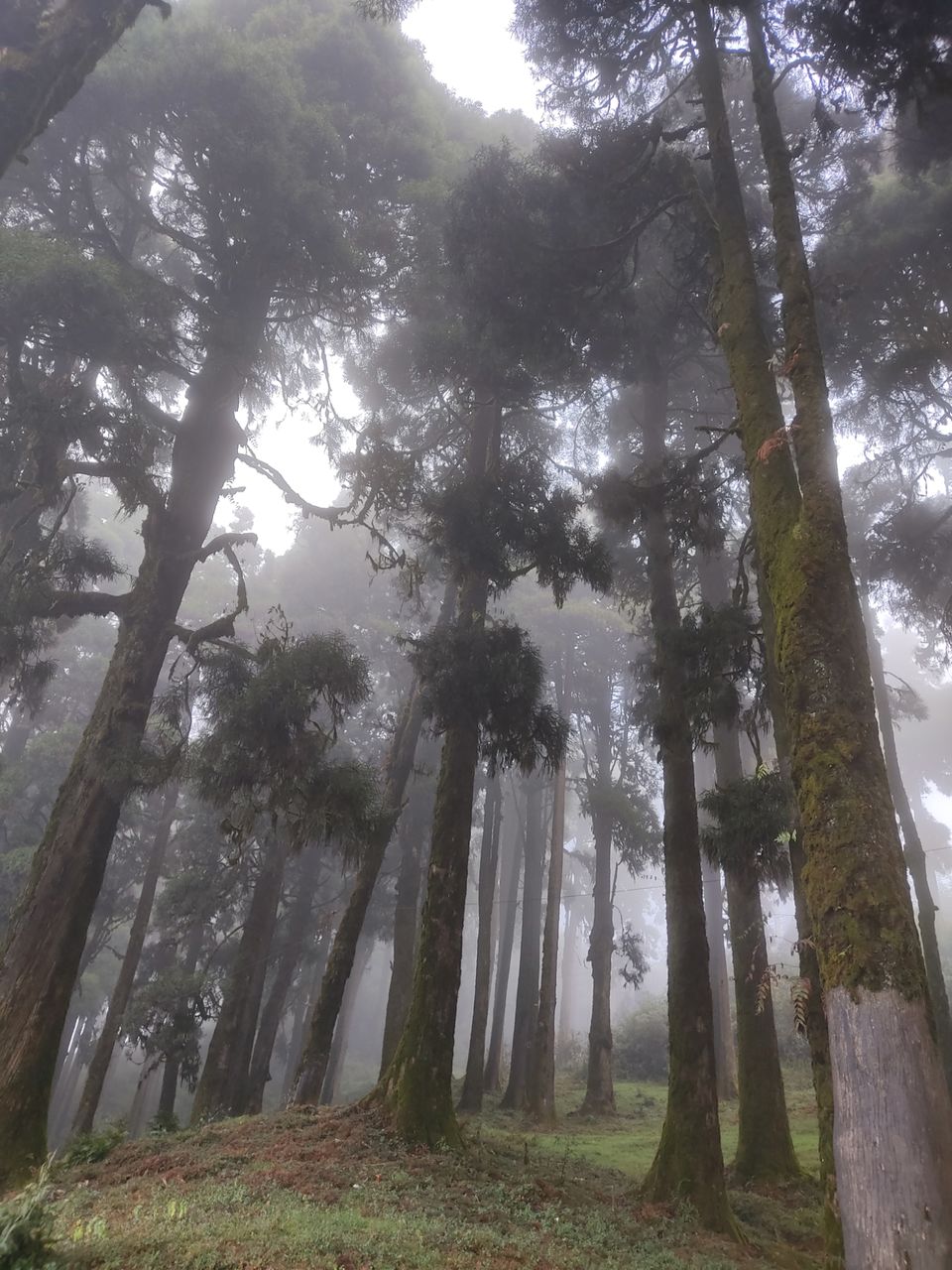 Photo of Lepcha Jagat by Sourav Dasgupta