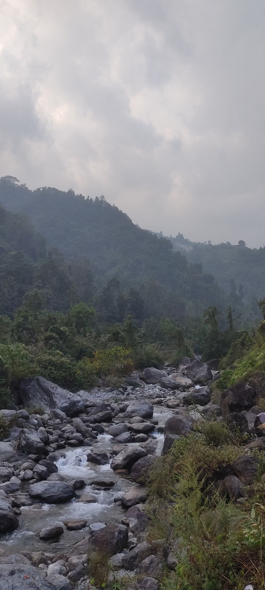 Photo of Sittong by Sourav Dasgupta