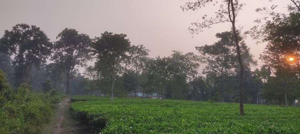 Photo of Lataguri by Sourav Dasgupta