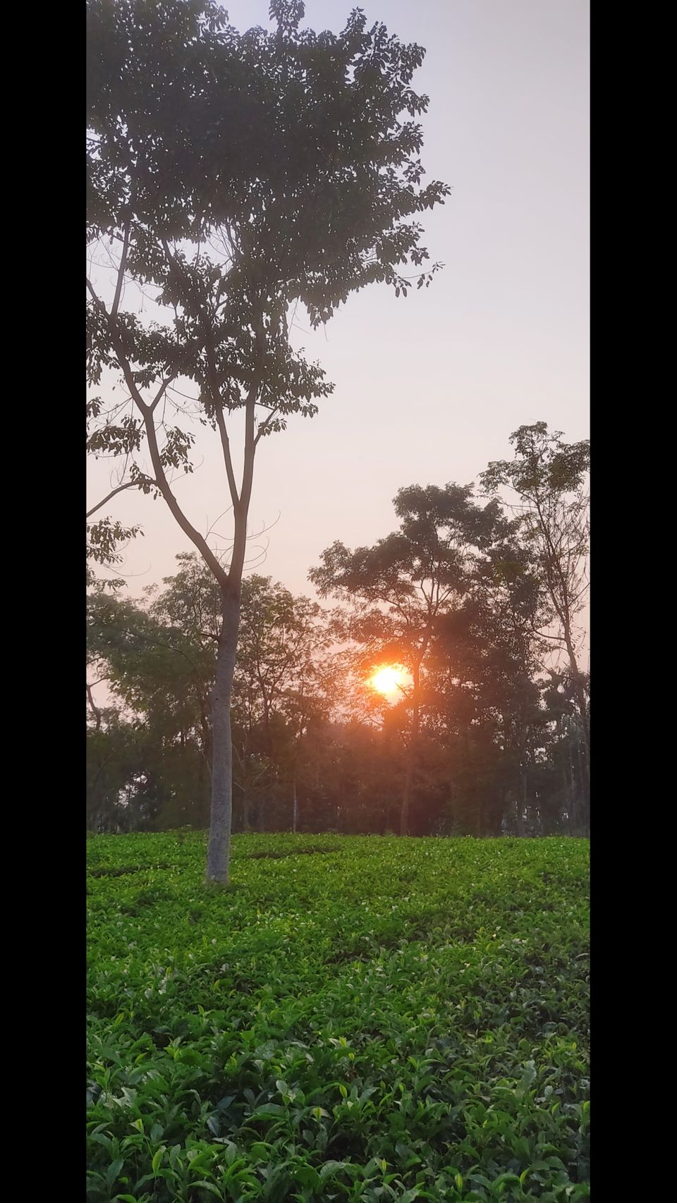 Photo of Lataguri by Sourav Dasgupta