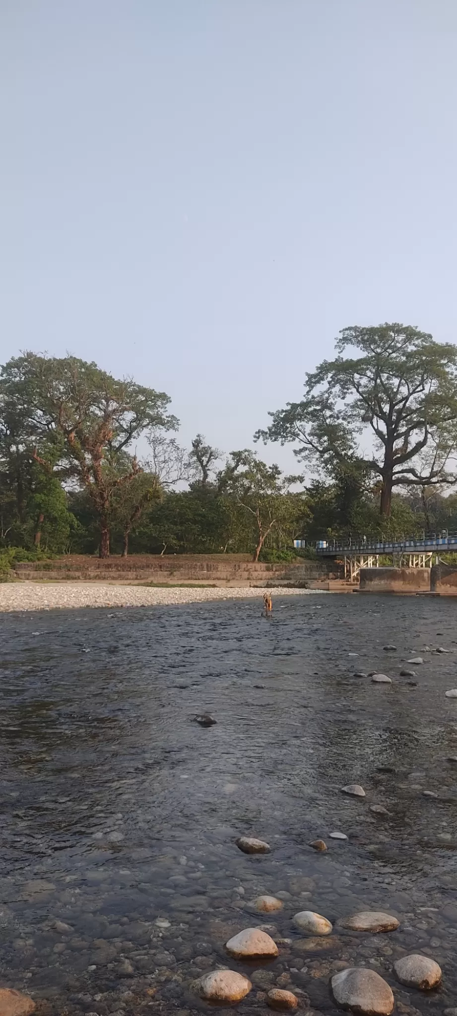Photo of Murti River by Sourav Dasgupta