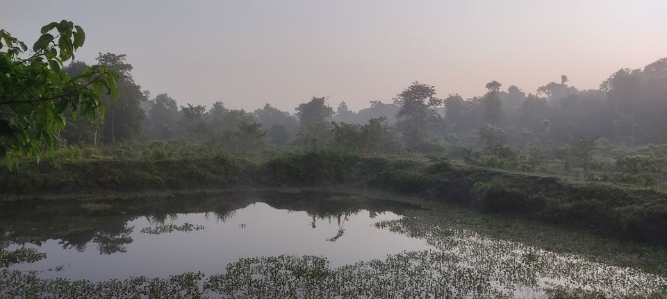 Photo of Gorumara National Park by Sourav Dasgupta