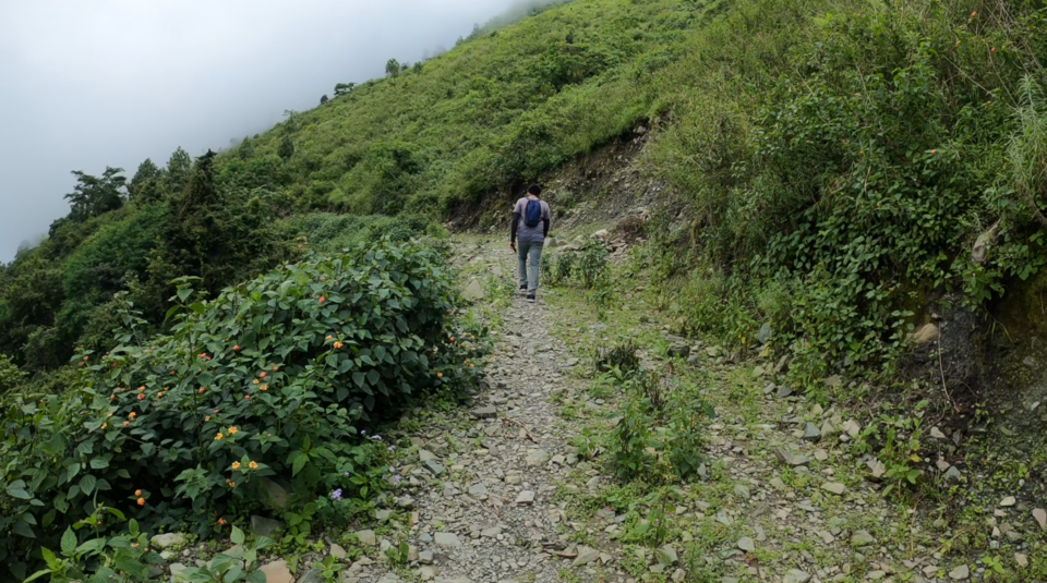 Photo of Pandeygaon, Uttarakhand 263136, India by Haruhit Kunwar