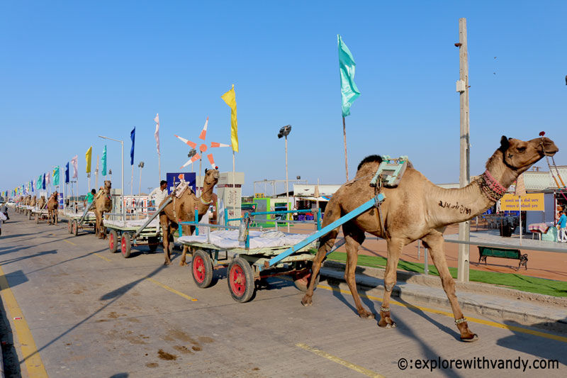 Photo of A complete guide to plan and enjoy Rann Utsav - Explore With Vandy by Vandana Singh