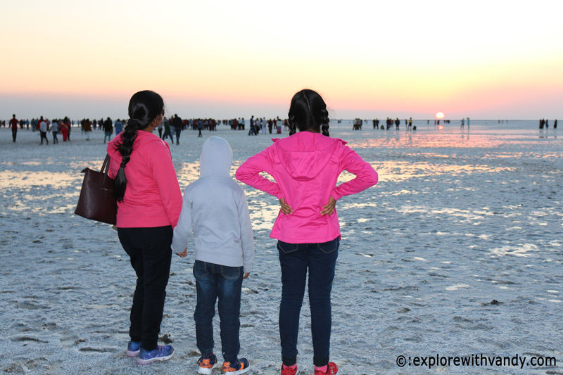 Photo of A complete guide to plan and enjoy Rann Utsav - Explore With Vandy by Vandana Singh