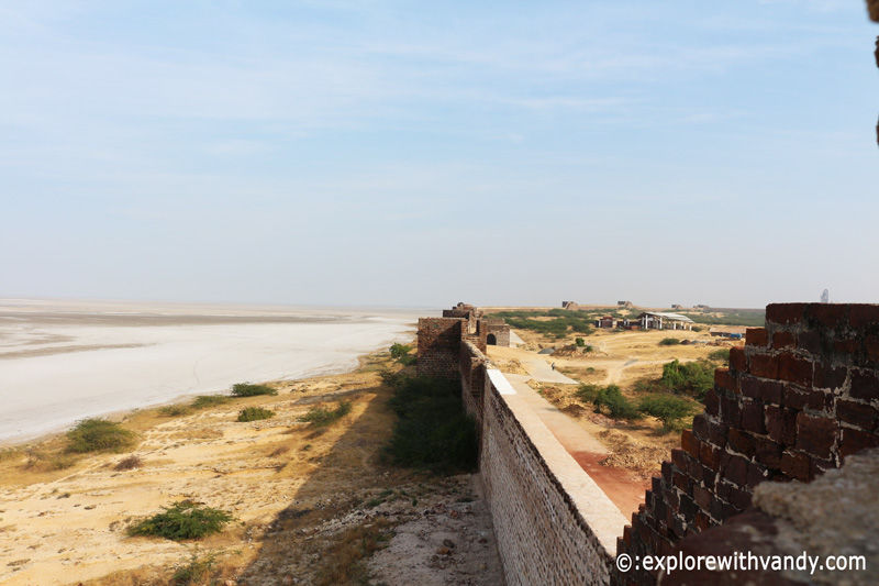 Photo of A trip to westernmost point of India – Narayan Sarovar & Koteshwar by Vandana Singh