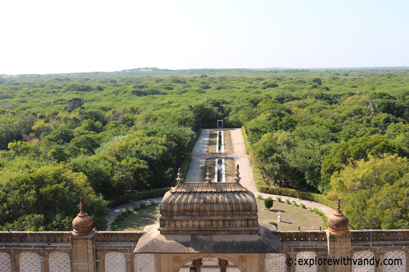 Photo of Royal attraction in Mandvi – Vijay Vilas Palace by Vandana Singh