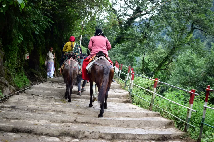 Photo of Kedarnath Trip - The walk to the temple ! by Sharmila Ray