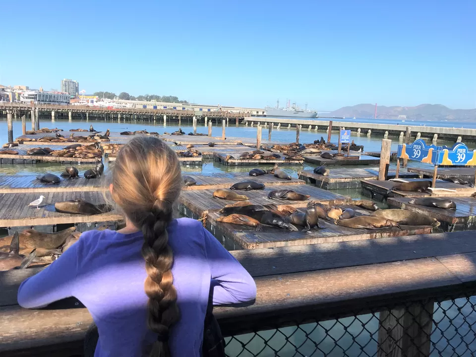 Photo of PIER 39, The Embarcadero, San Francisco, CA, USA by Buy Adderall Online