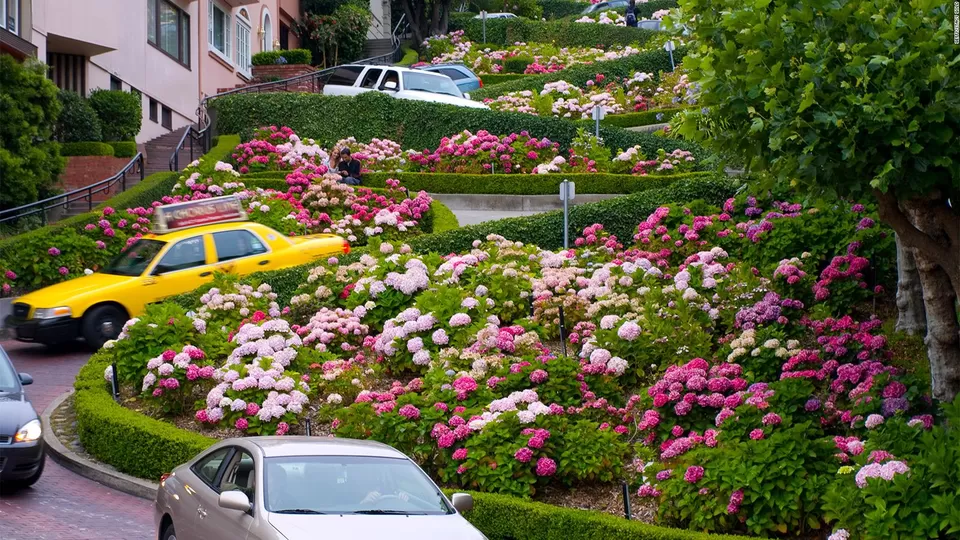 Photo of Lombard Street, San Francisco, CA, USA by Buy Adderall Online