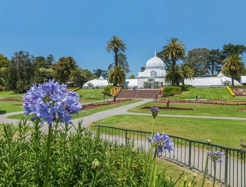 Photo of Golden Gate Park, San Francisco, CA, USA by Buy Adderall Online