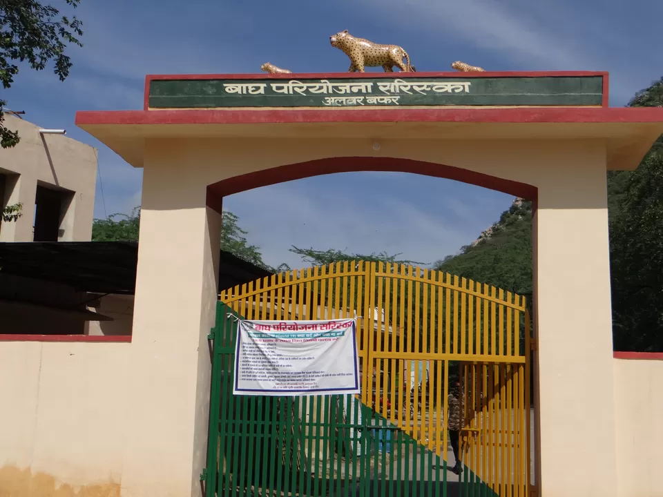 Photo of Sariska Tiger Reserve, Alwar, Ganeshpura With Rundh Kali Ghati, Rajasthan, India by Life On Wheels - Abhiksha