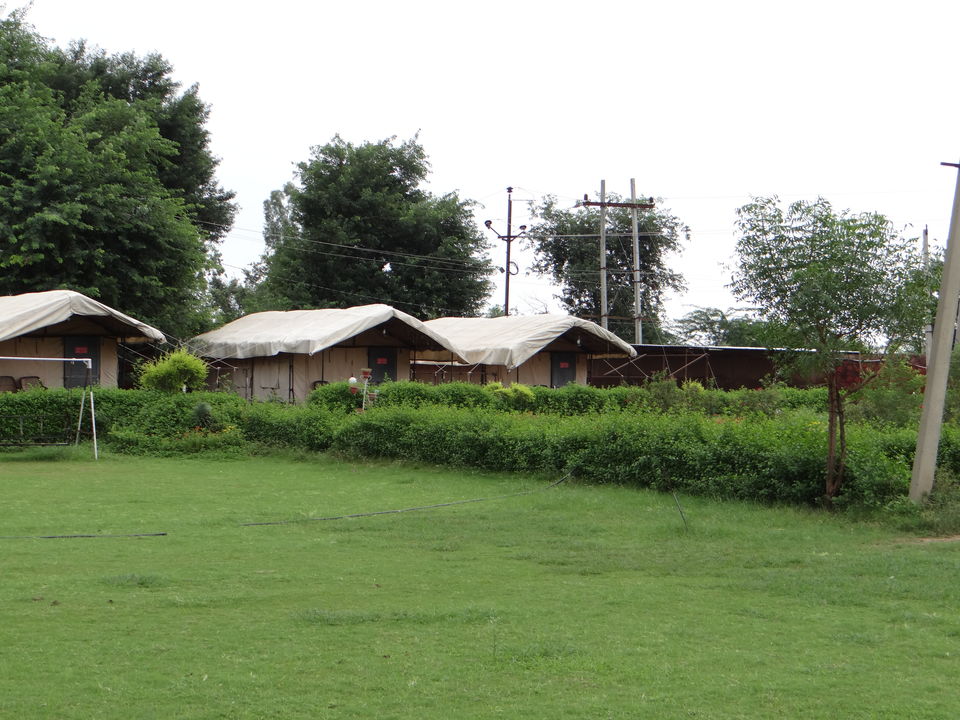 Photo of #Sariska #National_Park - A Versatile #Tourist Destination by DIGITAL WOMEN