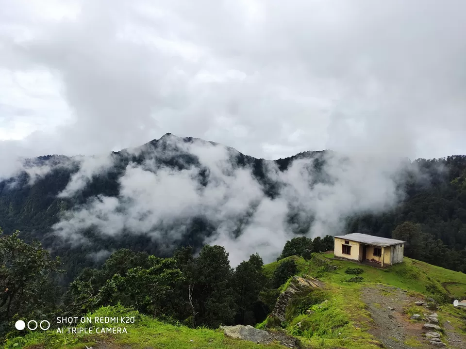 Photo of Chopta, Uttarakhand, India by Life On Wheels - Abhiksha