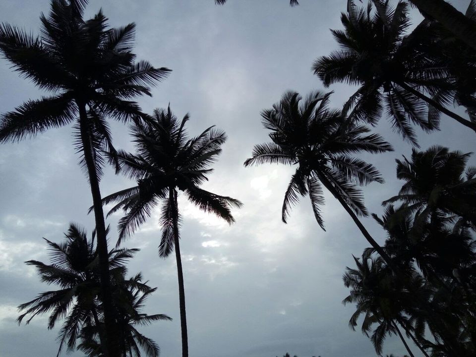 Photo of Go-wow! 1/4 by Sarvesh B