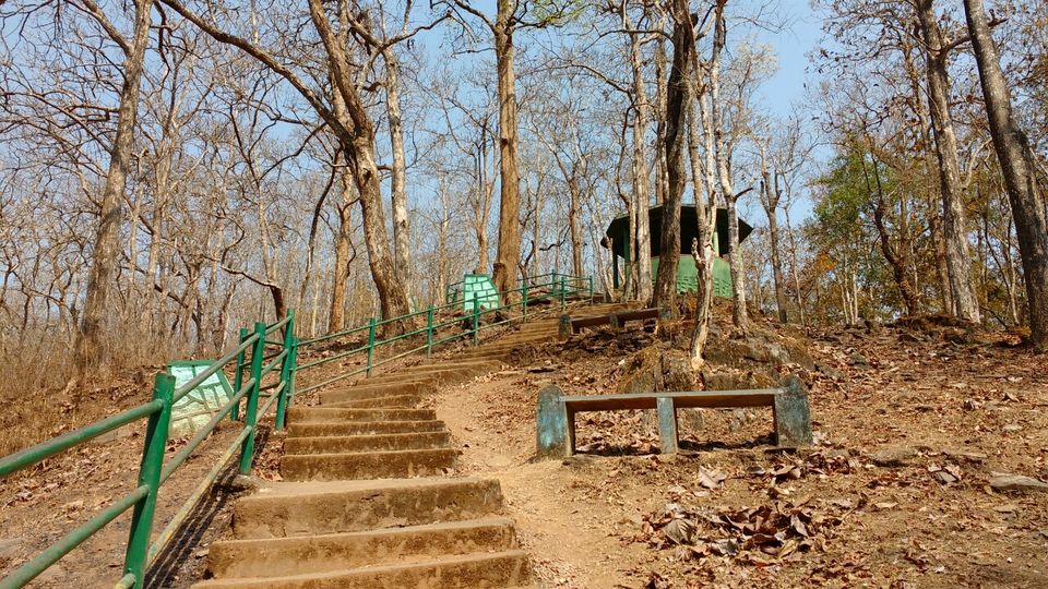 Photo of 3 days trip to Dandeli by Aparajita Chakraborty