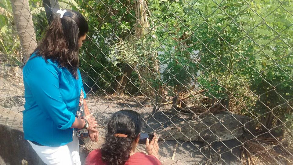 Photo of 3 days trip to Dandeli by Aparajita Chakraborty