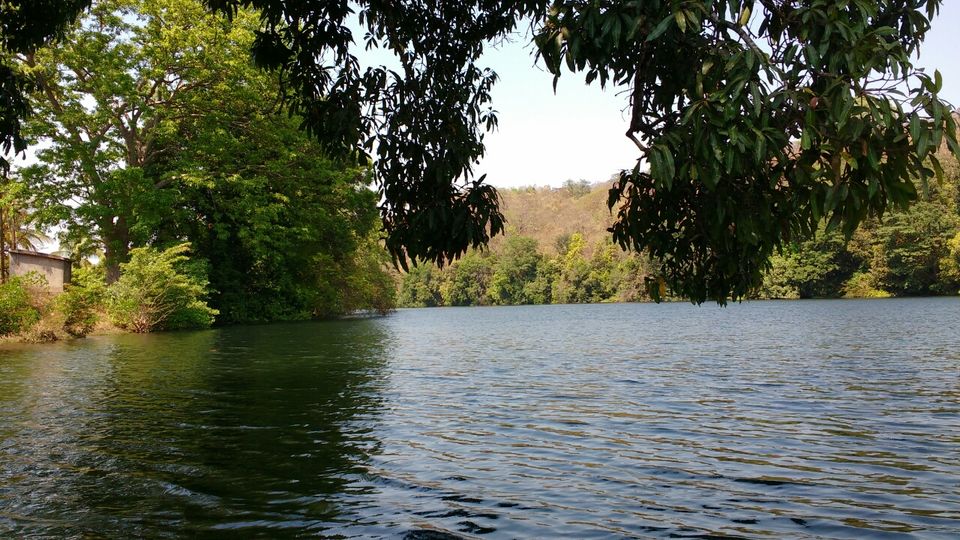 Photo of 3 days trip to Dandeli by Aparajita Chakraborty
