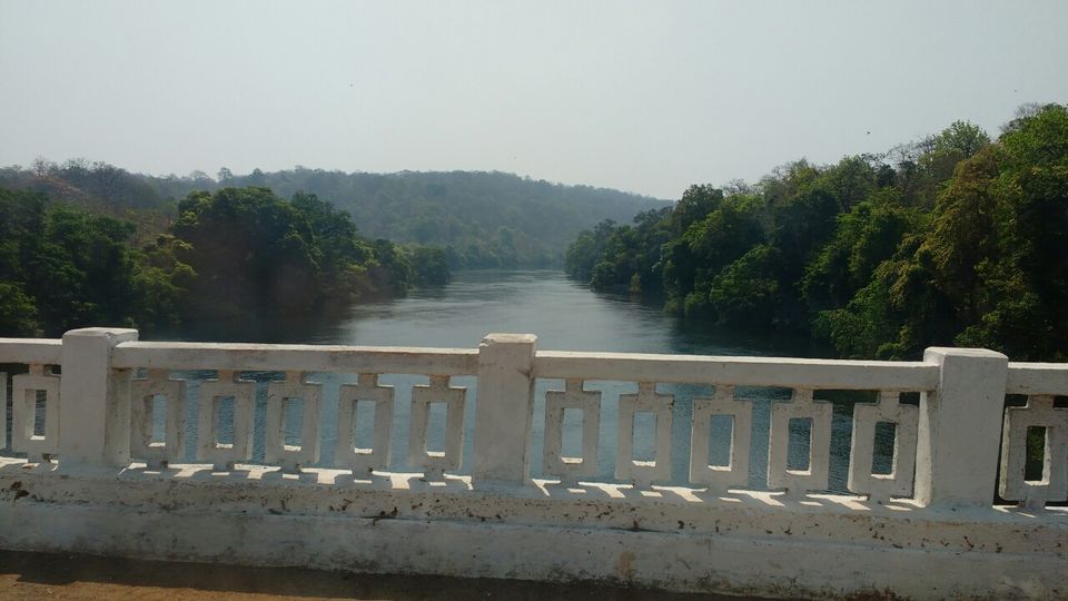 Photo of 3 days trip to Dandeli by Aparajita Chakraborty