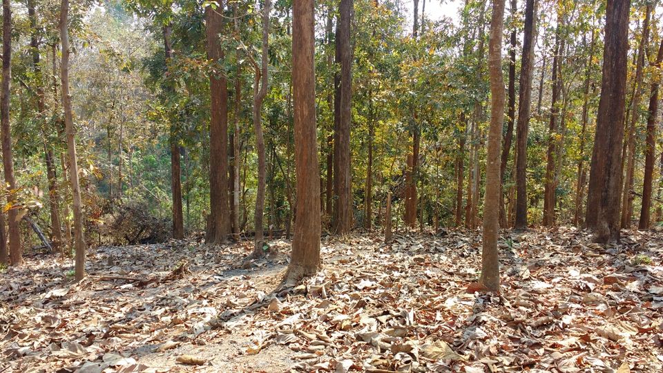 Photo of 3 days trip to Dandeli by Aparajita Chakraborty