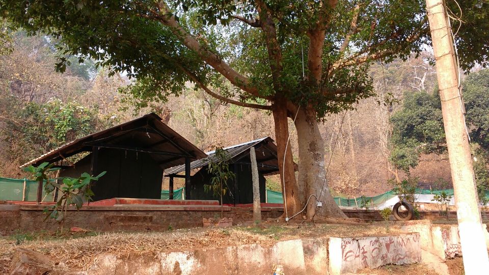 Photo of 3 days trip to Dandeli by Aparajita Chakraborty