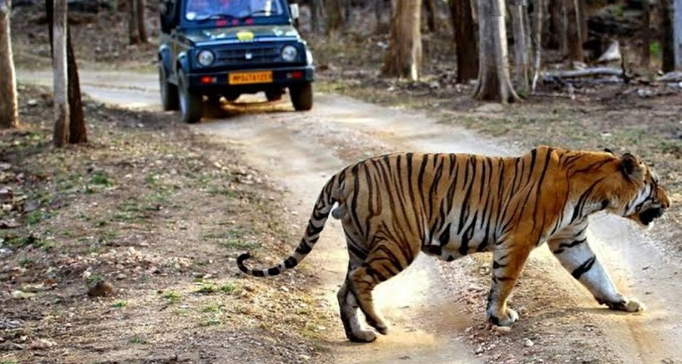 Photo of PENCH SANCTUARY TOUR IN MP" the talk of jungle" by Hari Shankar Sharma