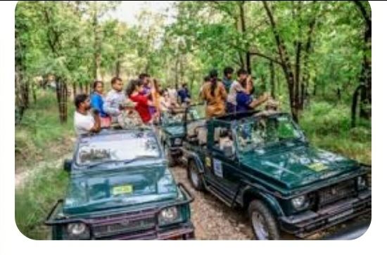 Photo of PENCH SANCTUARY TOUR IN MP" the talk of jungle" by Hari Shankar Sharma