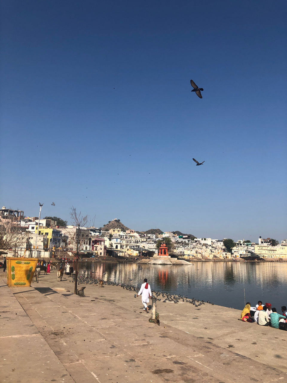 Photo of Mango Masala Restaurant, Hathi Bhata, Ajmer, Rajasthan, India by Manju Maher
