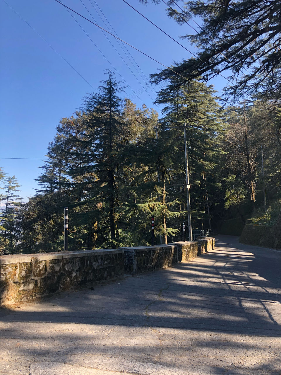 Photo of Landour, Mussoorie, Uttarakhand, India by Manju Maher