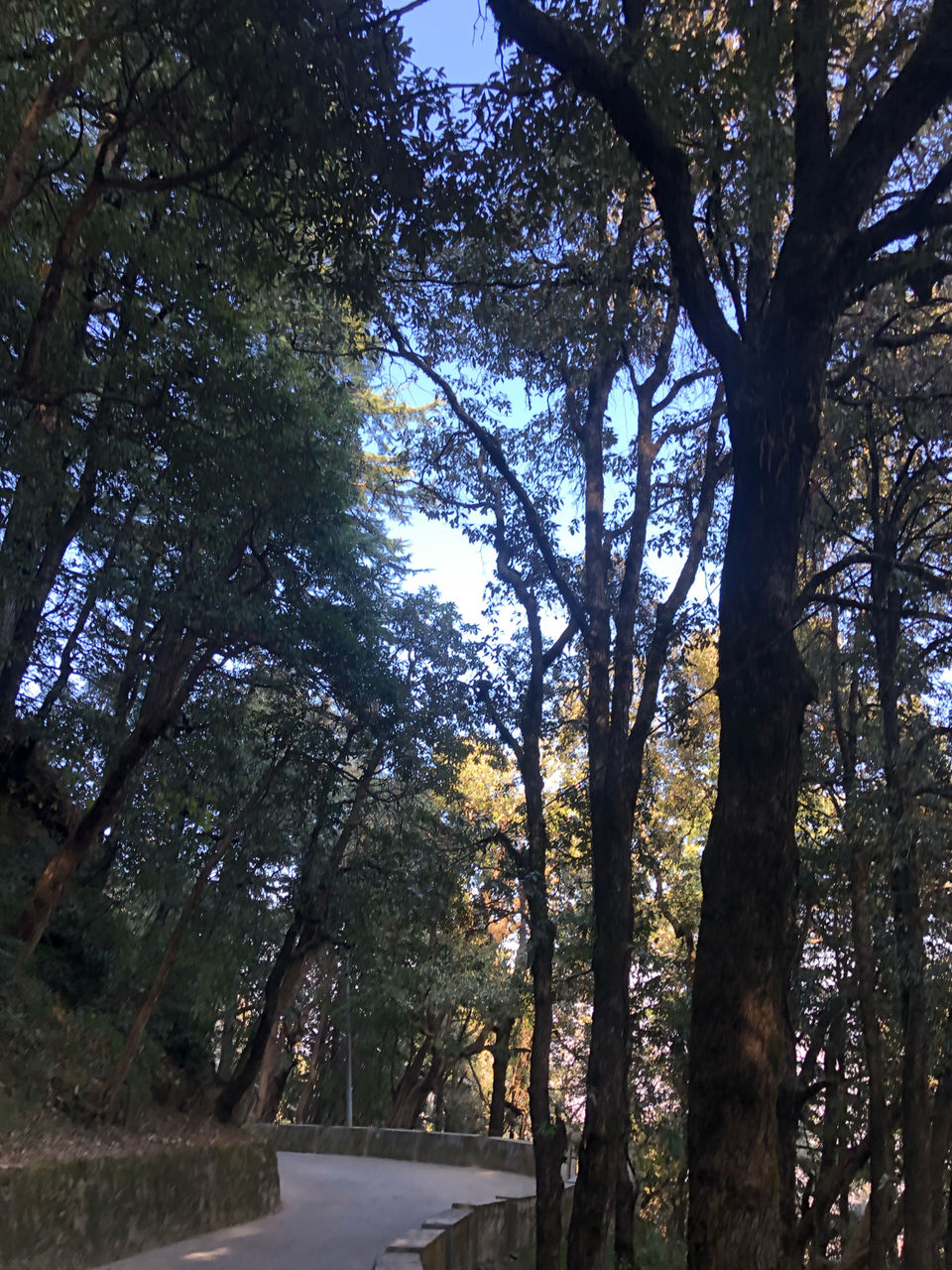 Photo of Landour, Mussoorie, Uttarakhand, India by Manju Maher