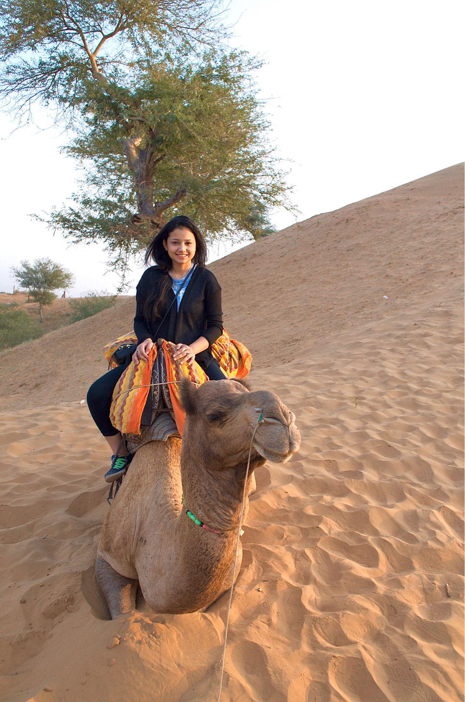 Photo of Osian, Rajasthan, India by Manju Maher