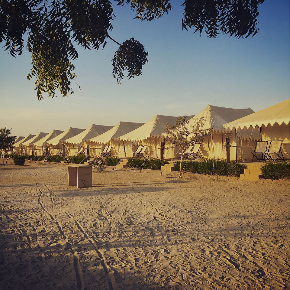 Photo of Can't make it to Jaisalmer? Experience Thar Desert camping in Jodhpur! by Manju Maher