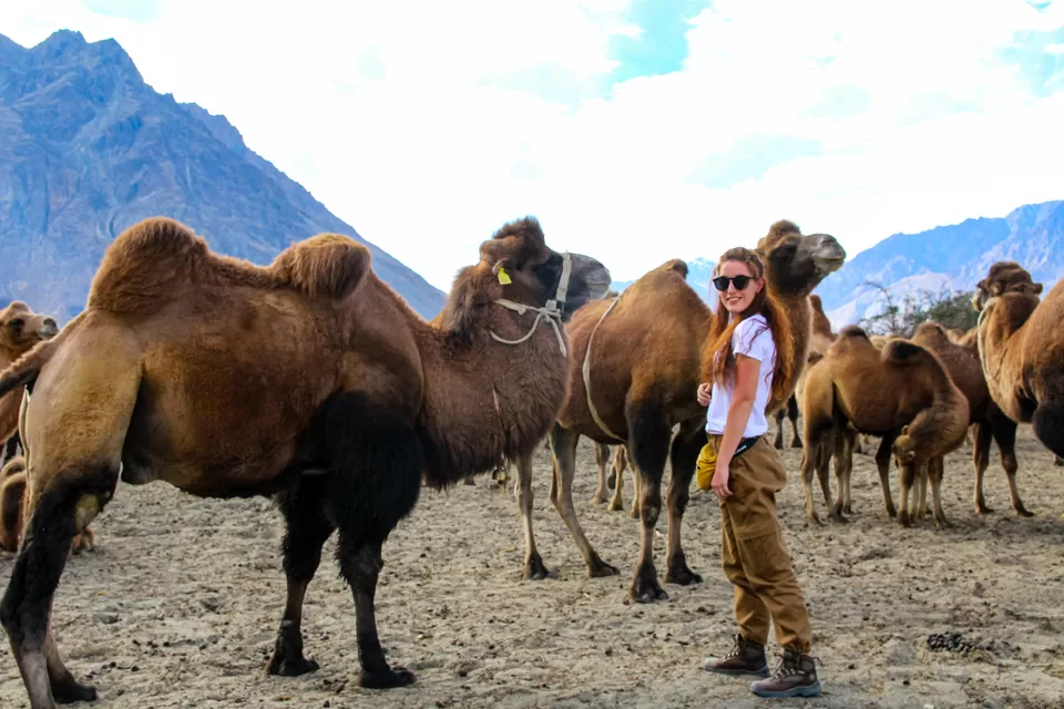 Photo of Nubra Valley, Hunder by Travel With Suhit