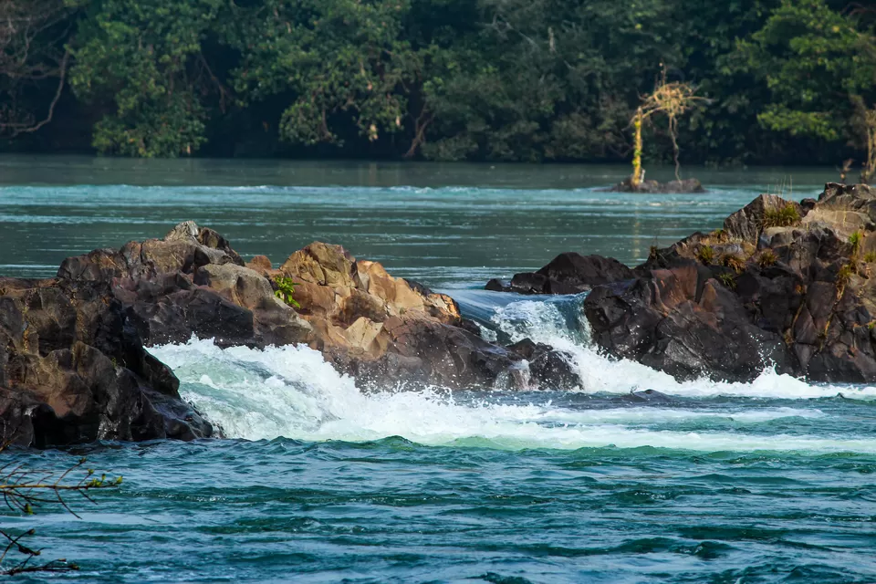 Photo of Dandeli - A Escapade to the Wilderness by Travel With Suhit