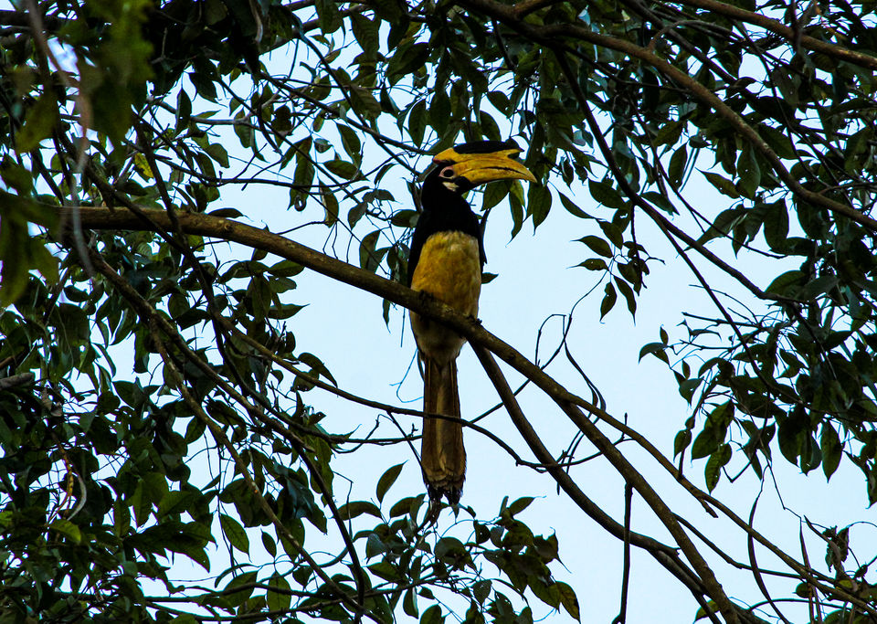 Photo of Dandeli - A Escapade to the Wilderness by Travel With Suhit