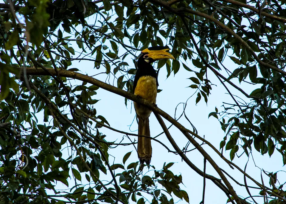 Photo of Dandeli - A Escapade to the Wilderness by Travel With Suhit