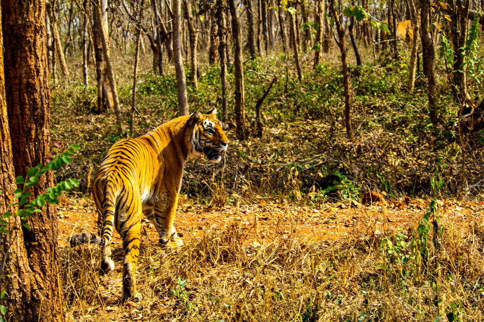 Photo of Dandeli - A Escapade to the Wilderness by Travel With Suhit