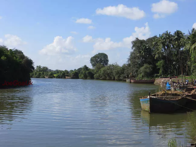 Photo of Cumbarjua Canal, Goa by Doyel Banerjee