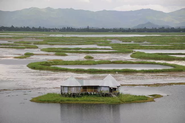 Photo of Loktak Lake, Manipur by Doyel Banerjee