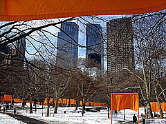 Photo of Central Park, Central Park, New York, NY, USA by Magdalene