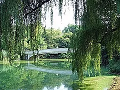 Photo of Central Park, Central Park, New York, NY, USA by Magdalene