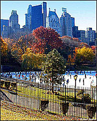 Photo of Central Park, Central Park, New York, NY, USA by Magdalene