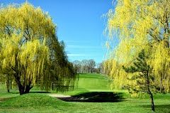 Photo of Staten Island, Staten Island, NY, USA by Magdalene