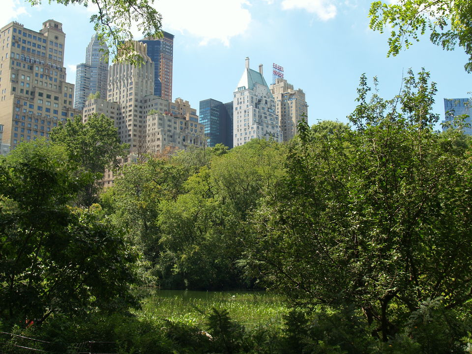 Photo of Landmarks of New York: My one week itinerary 9/10 by Magdalene