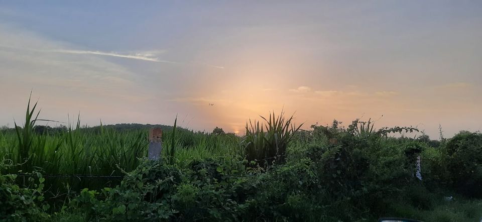 Photo of India by Kshiti Jhala
